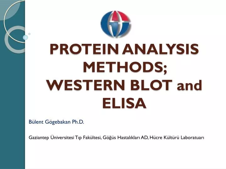 protein analysis methods western blot and elisa