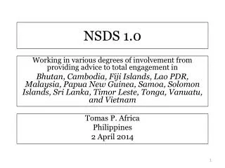 NSDS 1.0