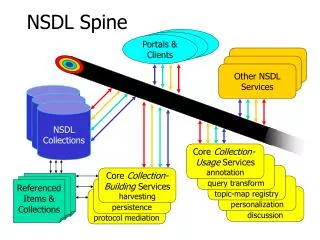 NSDL Spine