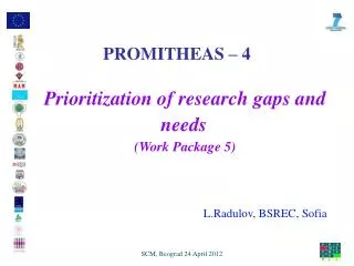Prioritization of research gaps and needs ( Work Package 5)