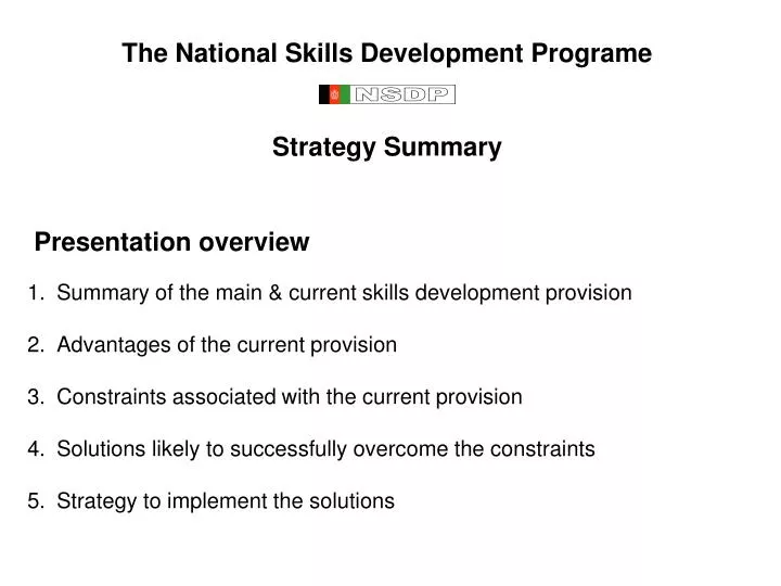 the national skills development programe strategy summary