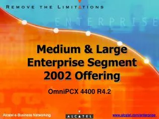 Medium &amp; Large Enterprise Segment 2002 Offering