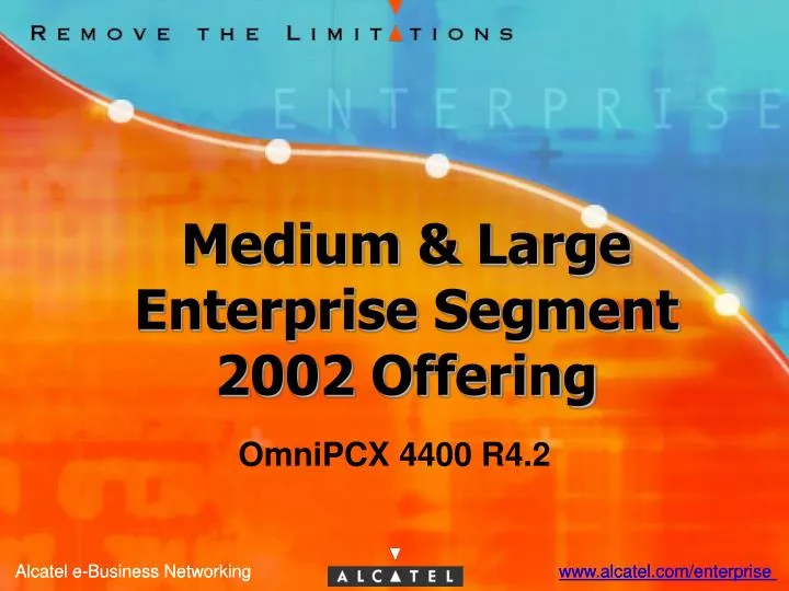 medium large enterprise segment 2002 offering