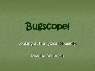 Bugscope!