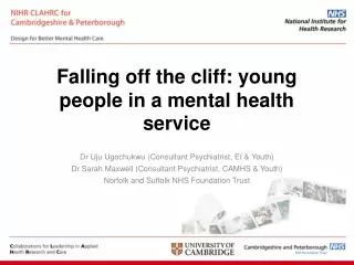 Falling off the cliff: young people in a mental health service