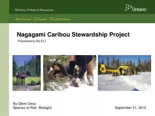 Nagagami Caribou Stewardship Project