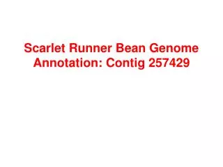 Scarlet Runner Bean Genome Annotation: Contig 257429