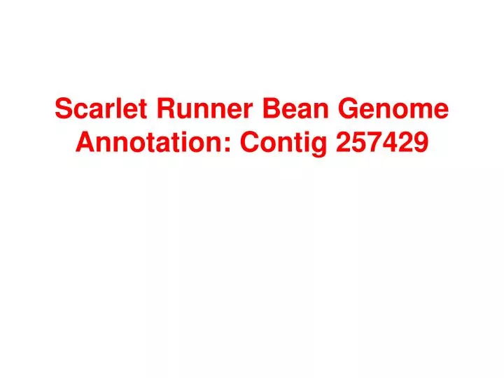 scarlet runner bean genome annotation contig 257429