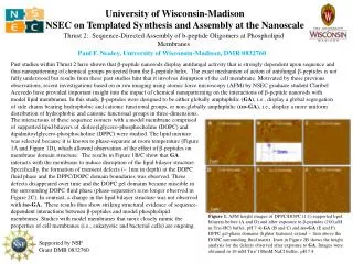 University of Wisconsin-Madison NSEC on Templated Synthesis and Assembly at the Nanoscale
