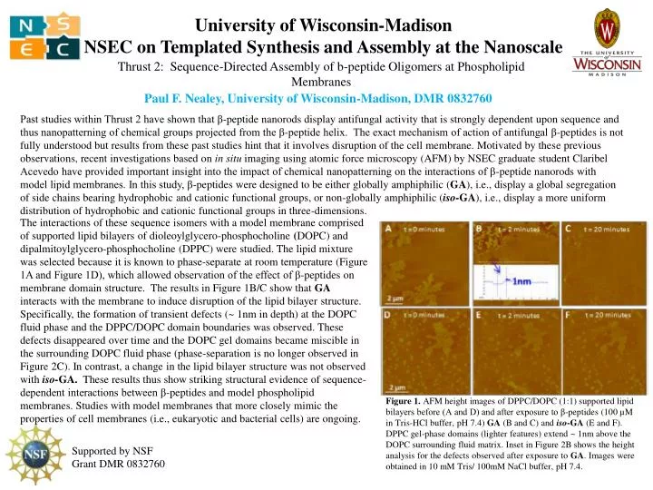 university of wisconsin madison nsec on templated synthesis and assembly at the nanoscale