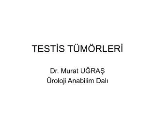 test s t m rler