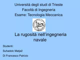 la rugosit nell ingegneria navale