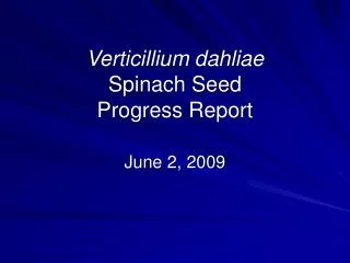 Verticillium dahliae Spinach Seed Progress Report