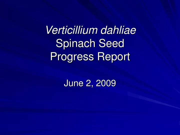 verticillium dahliae spinach seed progress report