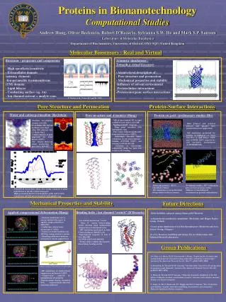 Proteins in Bionanotechnology Computational Studies