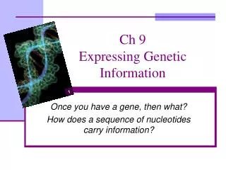 Ch 9 Expressing Genetic Information