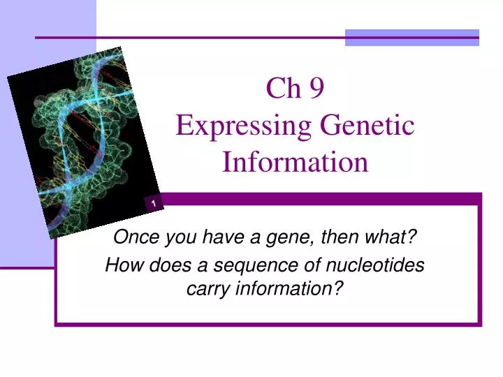 ch 9 expressing genetic information