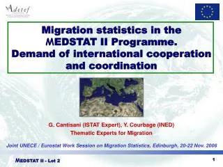 G. Cantisani (ISTAT Expert), Y. Courbage (INED) Thematic Experts for Migration