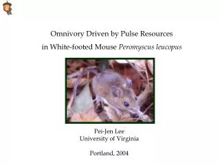 Omnivory Driven by Pulse Resources in White-footed Mouse Peromyscus leucopus