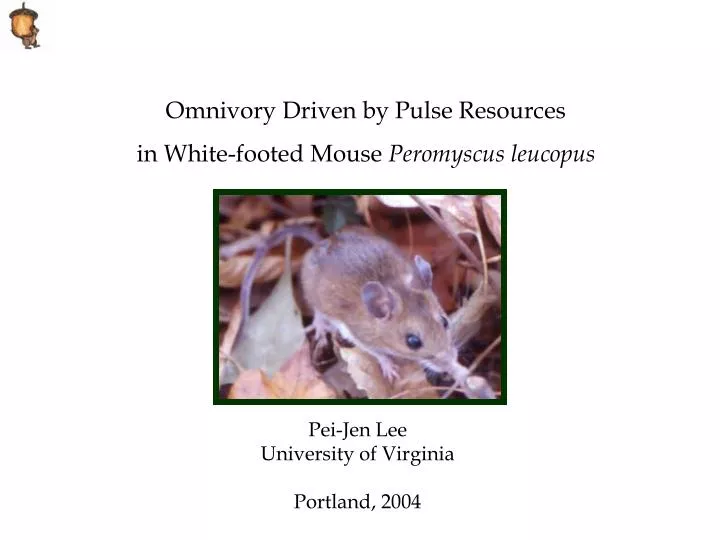 omnivory driven by pulse resources in white footed mouse peromyscus leucopus