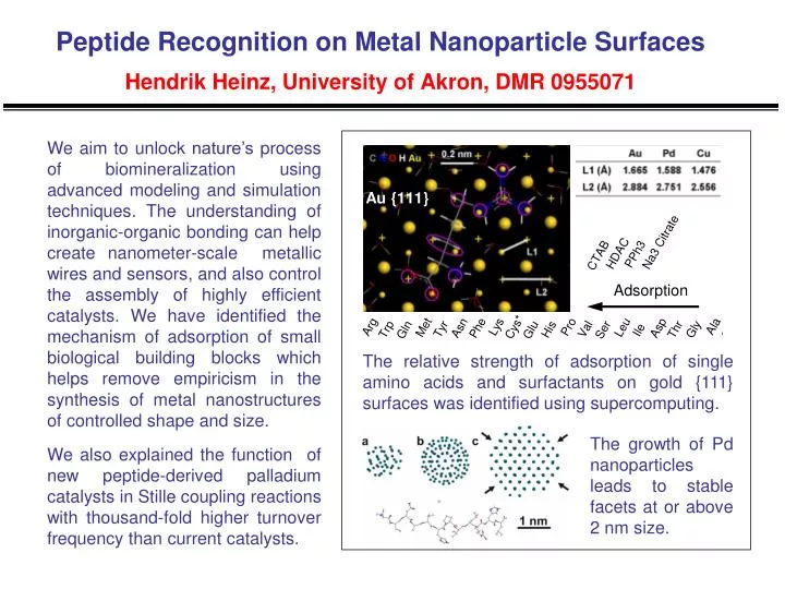 peptide recognition on metal nanoparticle surfaces hendrik heinz university of akron dmr 0955071