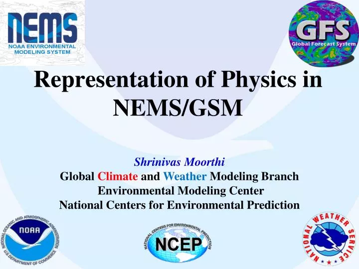 representation of physics in nems gsm