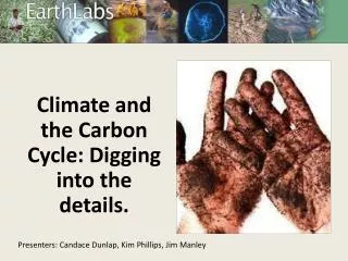 Climate and the Carbon Cycle: Digging into the details.
