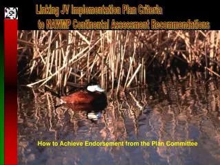 How to Achieve Endorsement from the Plan Committee