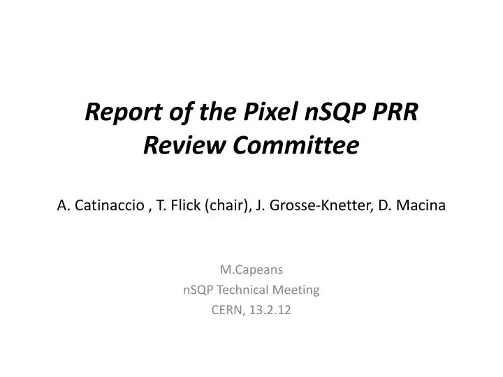 report of the pixel nsqp prr review committee a catinaccio t flick chair j grosse knetter d macina