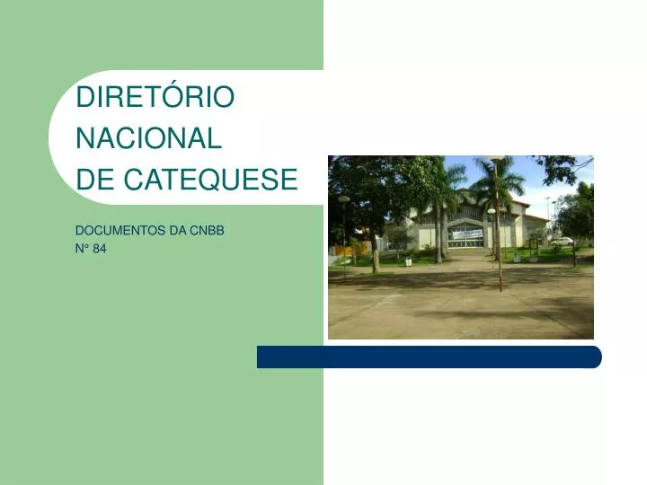 diret rio nacional de catequese documentos da cnbb n 84