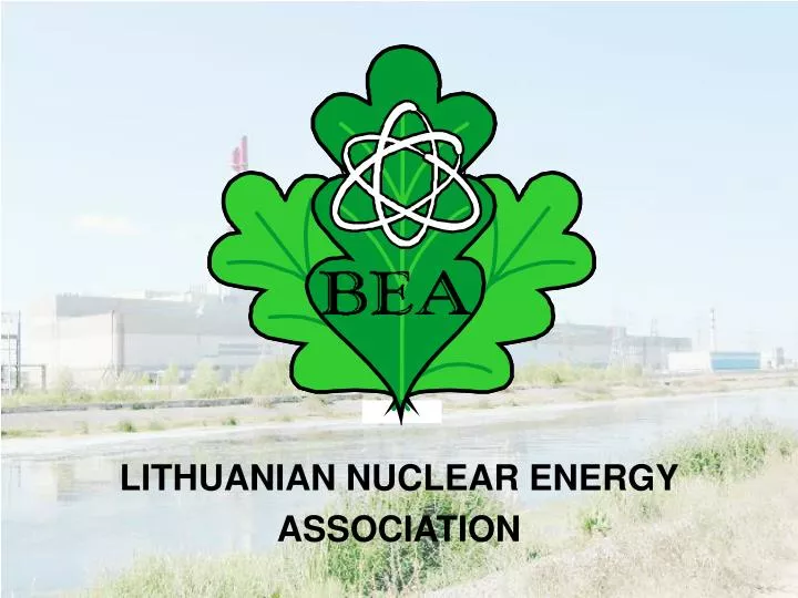 lithuanian nuclear energy association