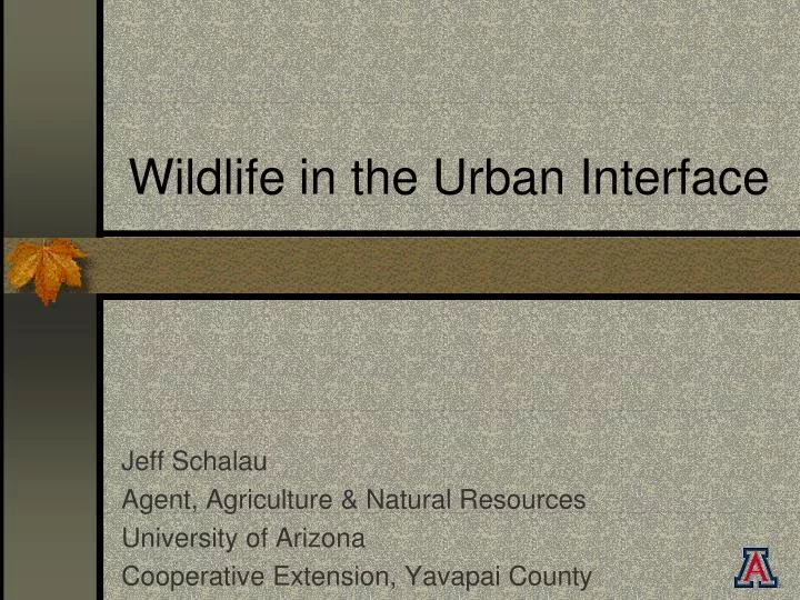 wildlife in the urban interface