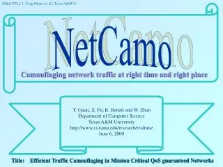 NetCamo