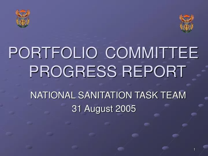 portfolio committee progress report