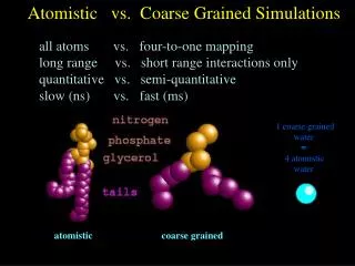 Atomistic vs. Coarse Grained Simulations