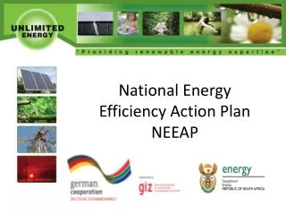 National Energy Efficiency Action Plan NEEAP