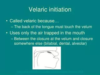 Velaric initiation