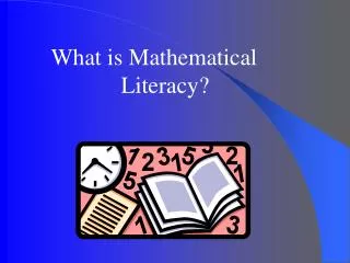 What is Mathematical 			Literacy?