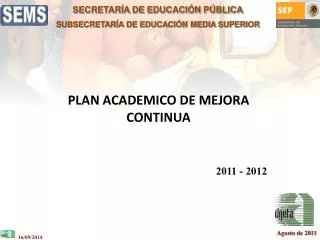 plan academico de mejora continua