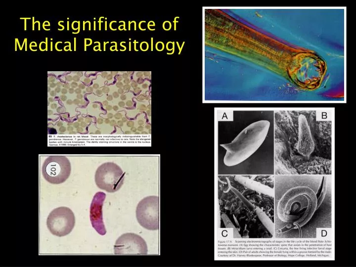 the significance of medical parasitology