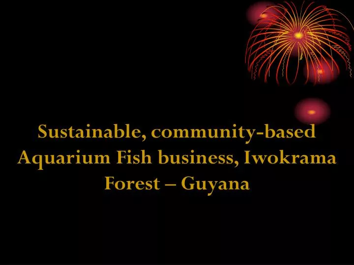 sustainable community based aquarium fish business iwokrama forest guyana