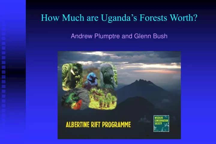 how much are uganda s forests worth andrew plumptre and glenn bush