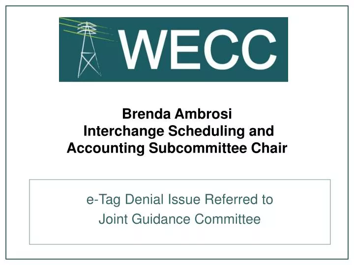 brenda ambrosi interchange scheduling and accounting subcommittee chair