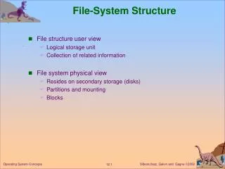 File-System Structure