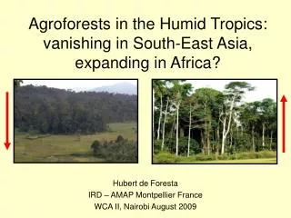 Agroforests in the Humid Tropics: vanishing in South-East Asia, expanding in Africa?