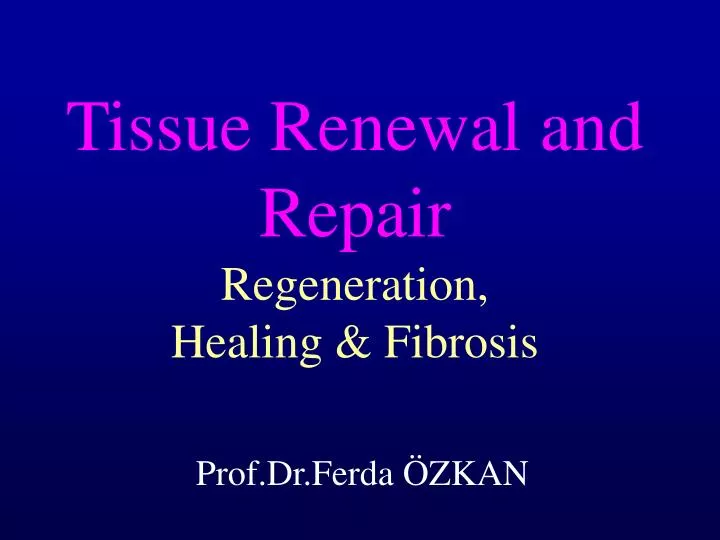 tissue renewal and repair regeneration healing fibrosis