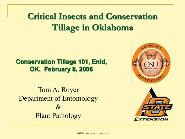 critical insects and conservation tillage in oklahoma
