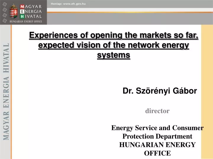 experiences of opening the markets so far expected vision of the network energy system s