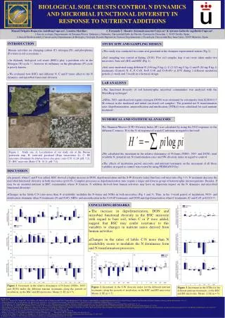 BIOLOGICAL SOIL CRUSTS CONTROL N DYNAMICS AND MICROBIAL FUNCTIONAL DIVERSITY IN