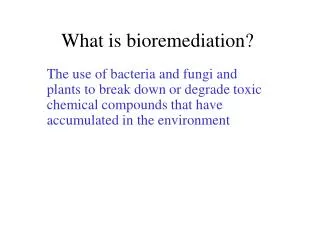 What is bioremediation?